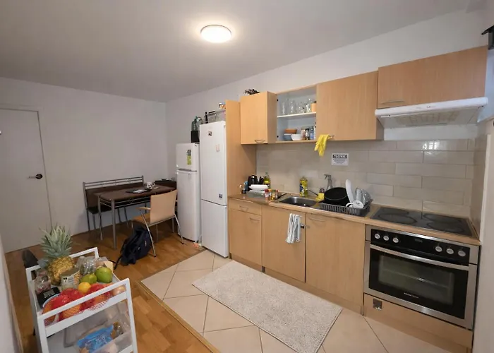 Cozy Furnished With Terrace Floor In Accommodatie bij particulieren Wenen